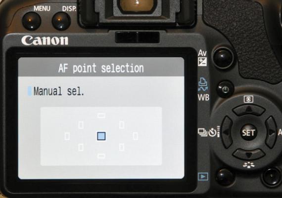 Нека да разберем как работят различните режими на автофокус на DSLR на Nikon и Canon